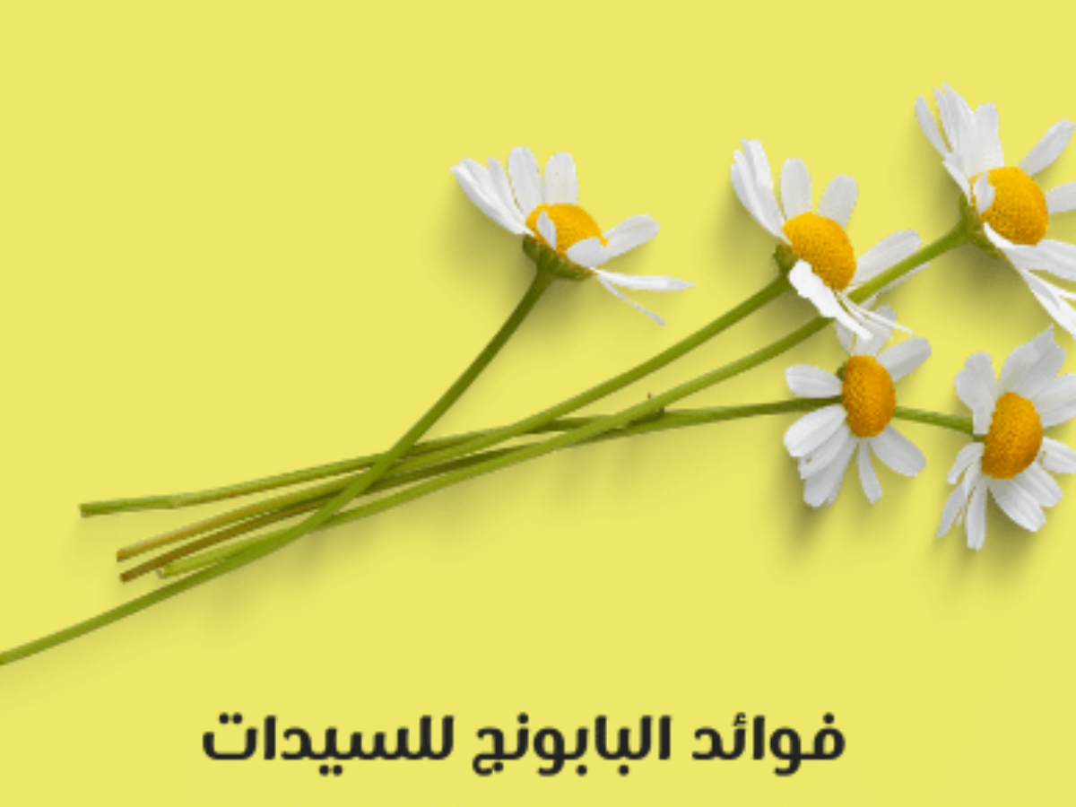 فوائد البابونج واضراره