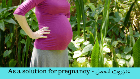 عنزروت للحمل - As a solution for pregnancy