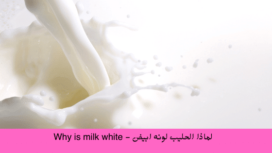 لماذا لون الحليب أبيض
