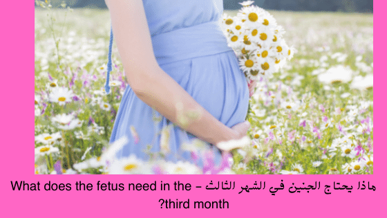  فطور الحامل في الشهر الثالث 