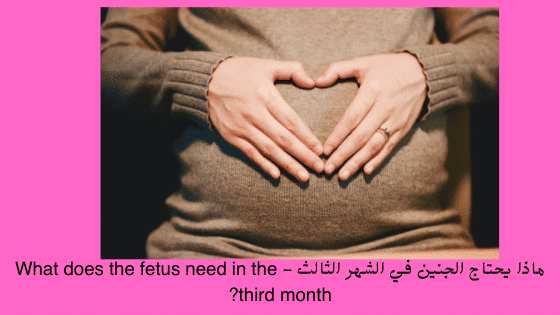 ماذا يحتاج الجنين في الشهر الثالث